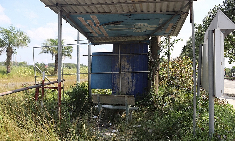 Bình Dương: Cảnh hoang tàn tại dự án Khu dân cư Nam Tân Uyên