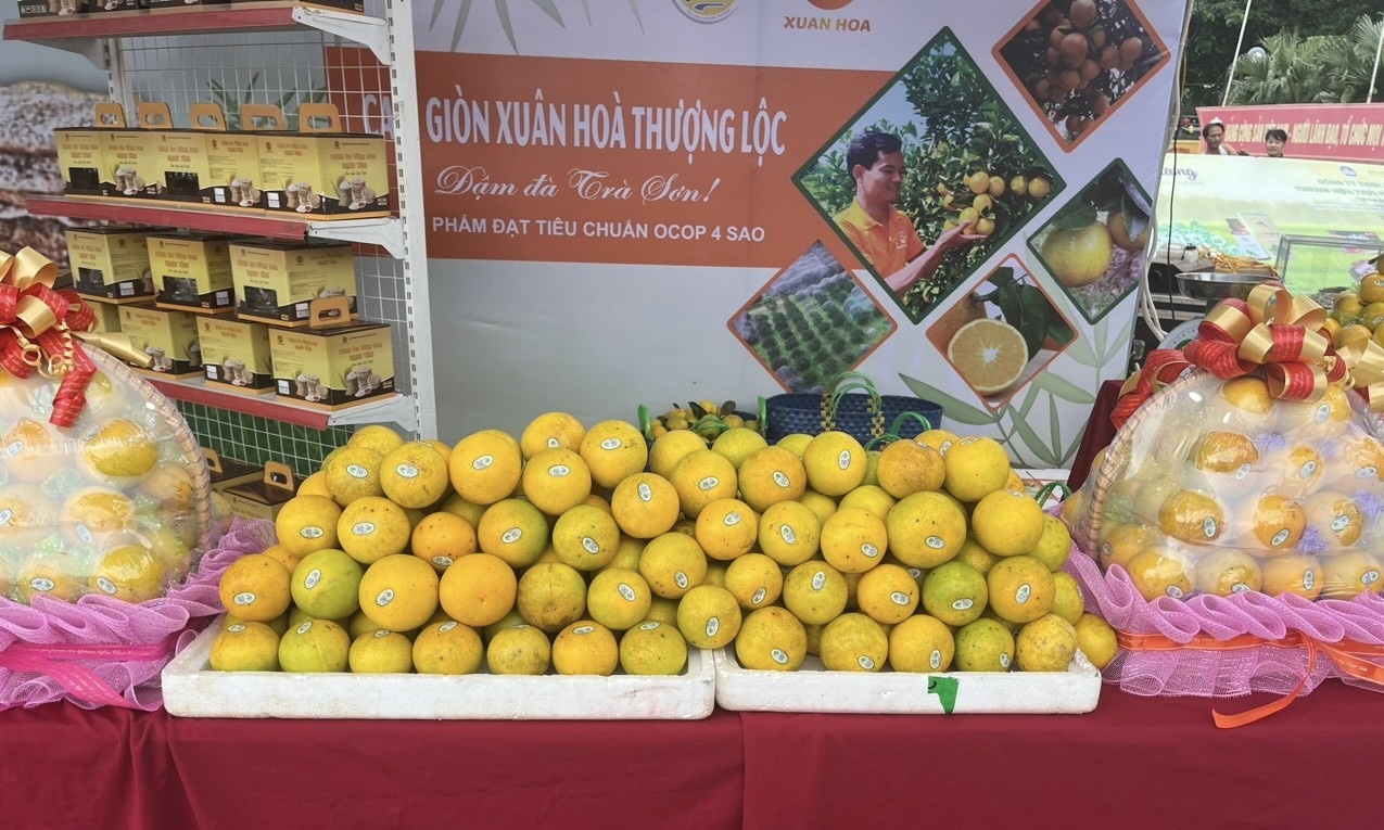 Hà Tĩnh: Đặc sắc lễ hội cam và các sản phẩm nông nghiệp tiêu biểu