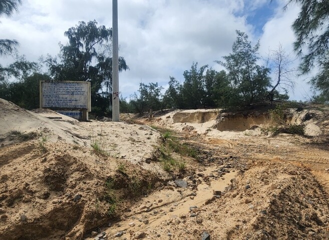 Phú Yên: Làm rõ Công ty Việt Phát Đạt khai thác cát trái phép