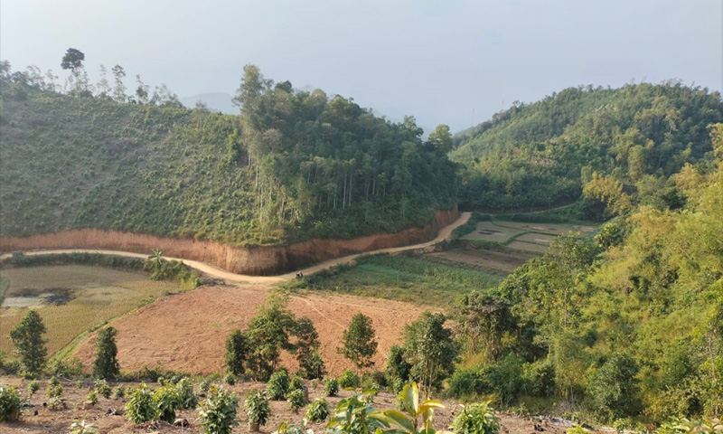 Thái Nguyên: Chuyển hơn 37ha rừng để thực hiện 4 dự án