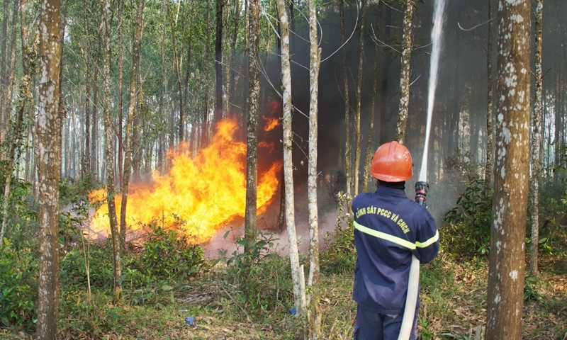 Bắc Giang: Tăng cường các biện pháp cấp bách phòng cháy, chữa cháy rừng