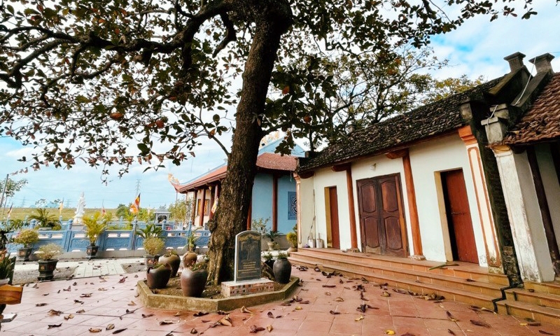 Nho Quan (Ninh Bình): Ngôi đình cổ có 4 cây Di sản Việt Nam