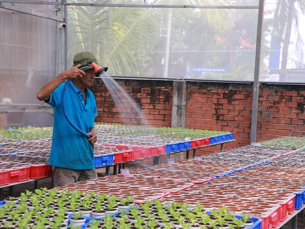 Thành phố Hồ Chí Minh: Đổi mới trong sản xuất kinh tế nông nghiệp, góp phần xây dựng nông thôn mới
