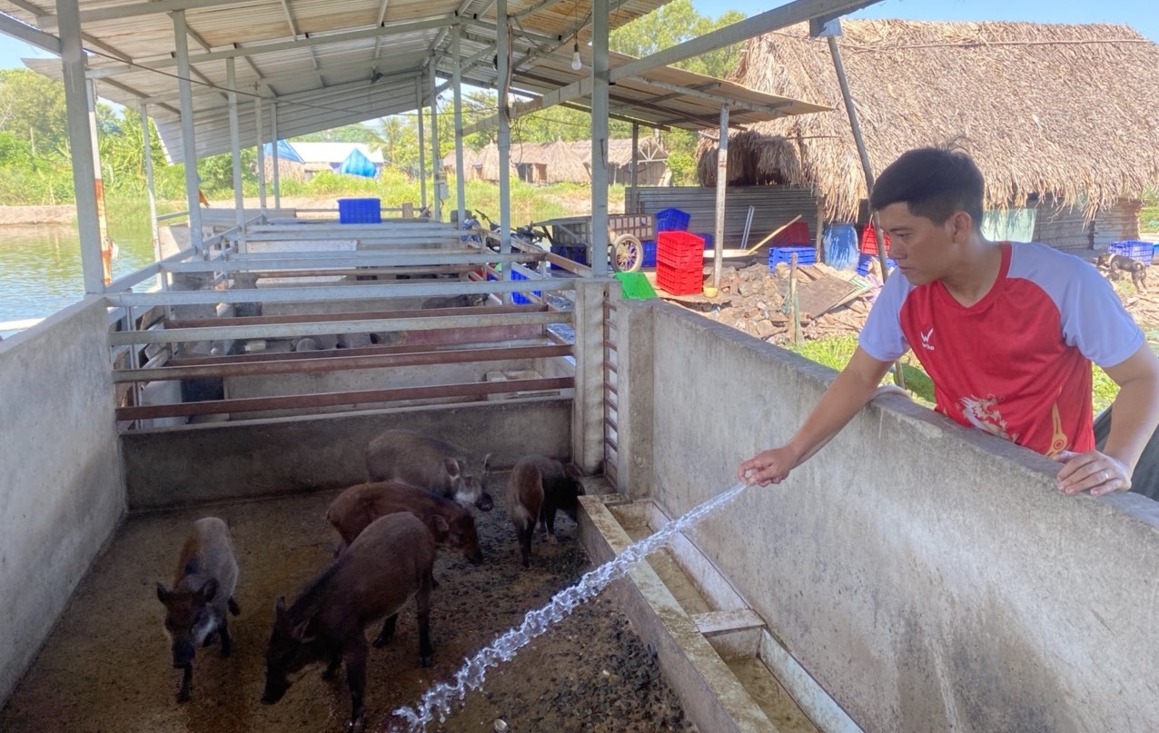 Thành phố Hồ Chí Minh: Người trẻ chọn chăn nuôi để phát triển nông nghiệp đô thị
