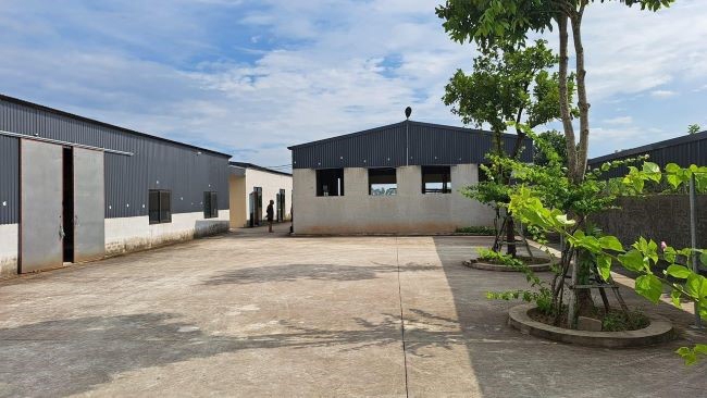 Hưng Hà (Thái Bình): Hàng nghìn m2 nhà xưởng xây dựng trái phép trên đất nông nghiệp tại thị trấn Hưng Nhân