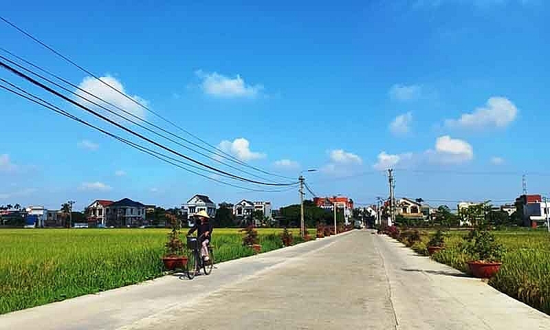 Thành phố Hải Dương: Xã ven đô hướng tới Nông thôn mới xanh, hiện đại