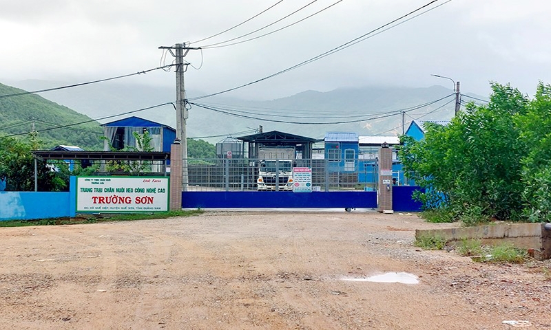 Quảng Nam: Công ty TNHH Chăn nuôi Trường Sơn xây dựng trang trại nuôi lợn chưa đầy đủ pháp lý