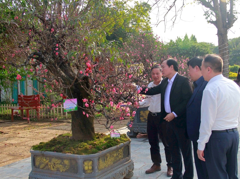 Hà Nội lần đầu tổ chức Lễ hội hoa đào, quất cảnh và sản phẩm OCOP các vùng miền Xuân Giáp Thìn 2024