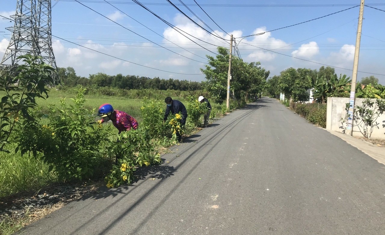 Huyện Củ Chi, TP.HCM: Phát triển nông nghiệp công nghệ cao