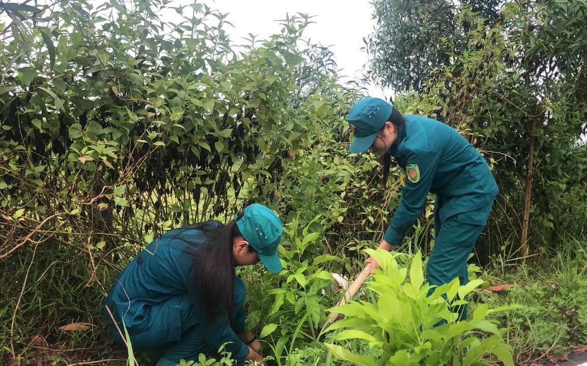 Huyện Củ Chi, TP.HCM: Phát triển nông nghiệp công nghệ cao