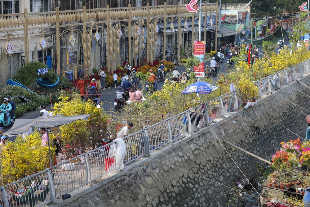 Thành phố Hồ Chí Minh: Chợ hoa xuân 