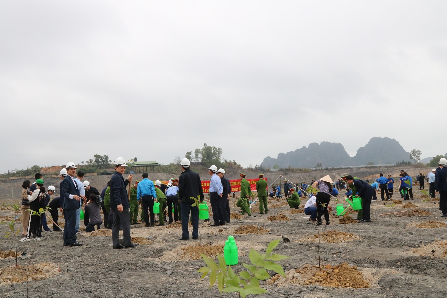 Quảng Ninh: Mỏ than trồng cây trả màu xanh cho đất
