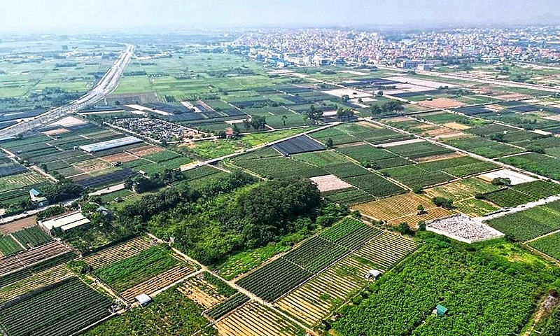Hưng Yên đấu giá 182 lô đất, khởi điểm cao nhất 85 triệu đồng/m2