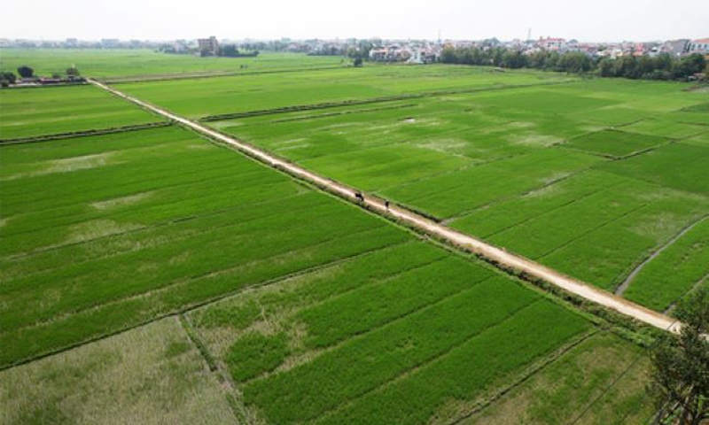 Thái Bình: Khởi tố Chủ tịch và Phó Chủ tịch UBND xã Hồng An về việc bán trái phép hơn 5.000m2 đất lúa