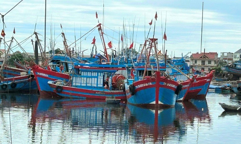 Thanh Hóa: Lập quy hoạch chi tiết tỷ lệ 1/500 cảng cá Lạch Bạng và khu neo đậu tránh trú bão cho tàu cá