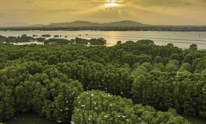 Bình Định: Về ốc đảo Cồn Chim ngắm bình minh màu nắng