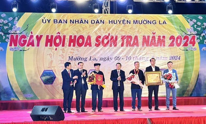 Mường La (Sơn La): Xác lập kỷ lục rừng hoa Sơn Tra lớn nhất Việt Nam