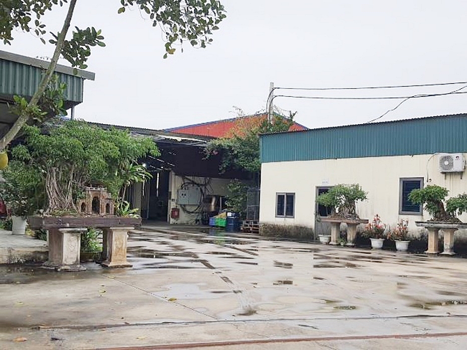 Thành phố Hải Dương: Doanh nghiêp tự ý chuyển đổi hàng nghìn m2 đất nông nghiệp sang đất phi nông nghiệp trái phép