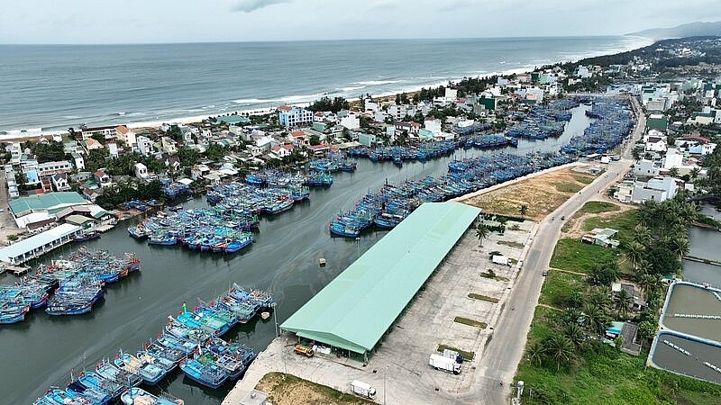 Bình Định: Cần sớm đầu tư, xây dựng Khu neo đậu tránh trú bão cho tàu cá Tam Quan