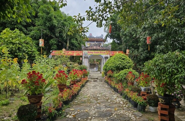 Phú Yên: Chùa Từ Quang mang nét kiến trúc độc đáo với vườn xoài Đá Trắng