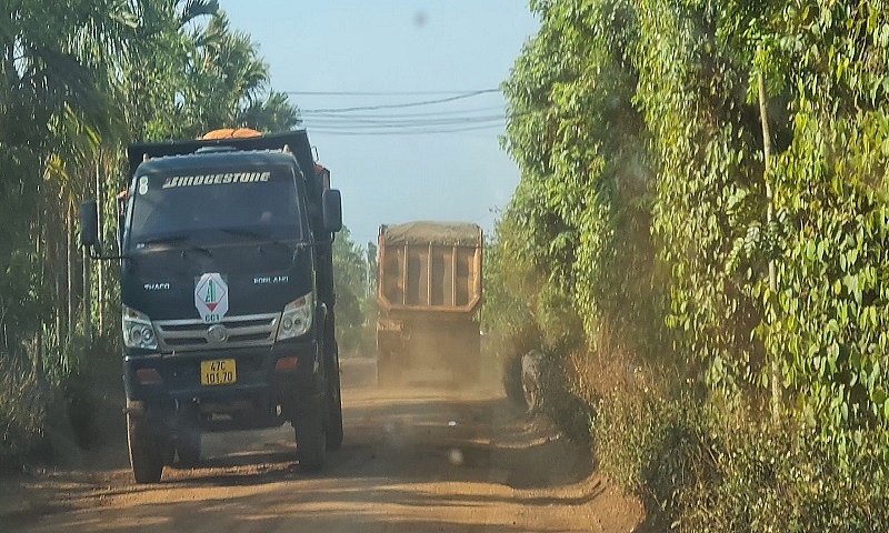 Đắk Lắk: Bám đuôi dàn xe chở đất cao tốc đi san lấp mặt bằng cho dân