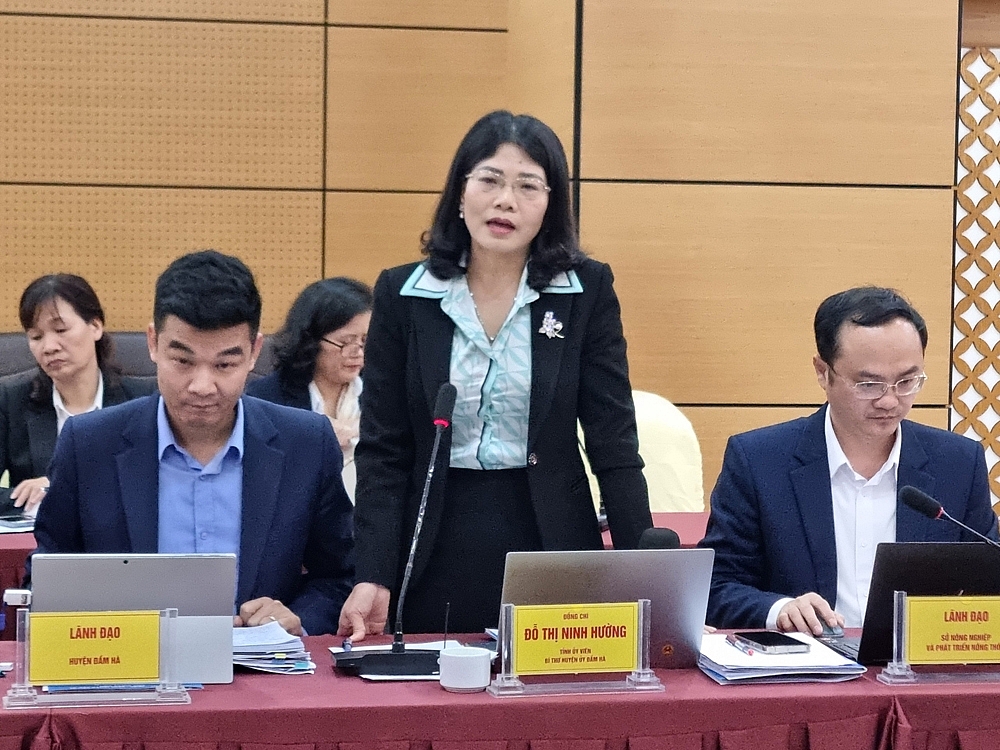 Quảng Ninh: Huyện Đầm Hà thông tin chính thức về việc làm đê hơn trăm tỷ rồi bỏ không