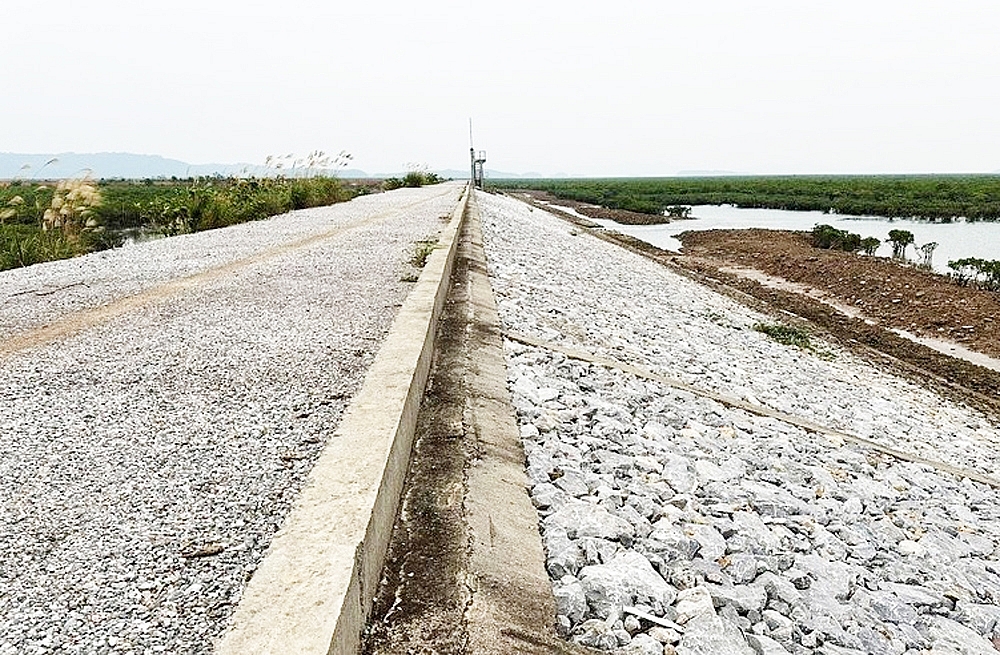 Quảng Ninh: Huyện Đầm Hà thông tin chính thức về việc làm đê hơn trăm tỷ rồi bỏ không