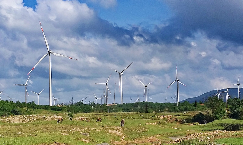 Quảng Trị: Các dự án điện gió chuyển tiếp cần sớm hoàn thành đàm phán giá điện chính thức
