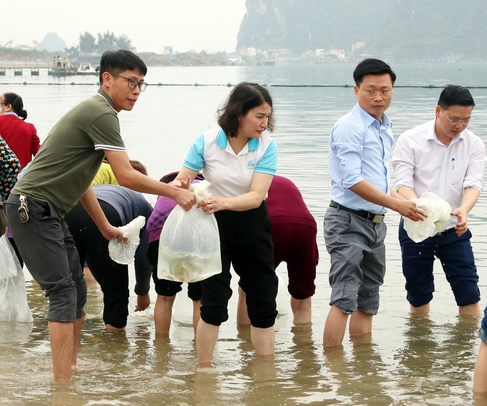Thành phố Cẩm Phả thả tôm cá giống xuống vịnh Bái Tử Long