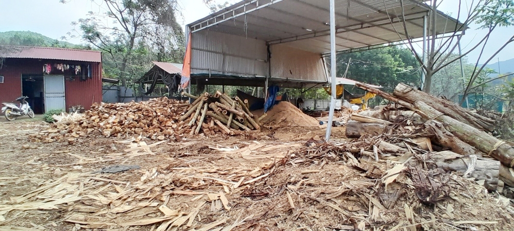 Thạch Thành (Thanh Hóa): “Trên quyết liệt, dưới thờ ơ” trong xử lý các xưởng thu mua, chế biến gỗ keo vi phạm