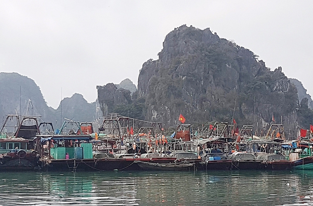 Quảng Ninh: Kinh tế biển “tăng nuôi trồng, giảm khai thác”