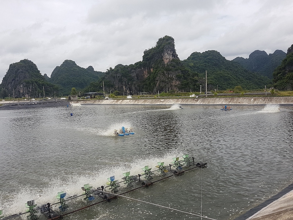 Quảng Ninh: Kinh tế biển “tăng nuôi trồng, giảm khai thác”