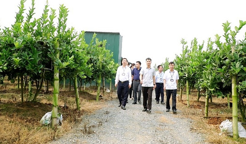 Yên Lạc (Vĩnh Phúc): Thẩm tra xã Liên Châu đạt chuẩn nông thôn kiểu mẫu năm 2023