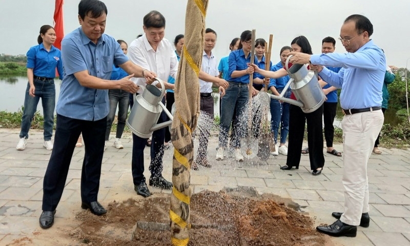 Hải Dương: Trồng cây xanh đô thị, một cách làm hợp lòng dân ở Thị trấn Ninh Giang