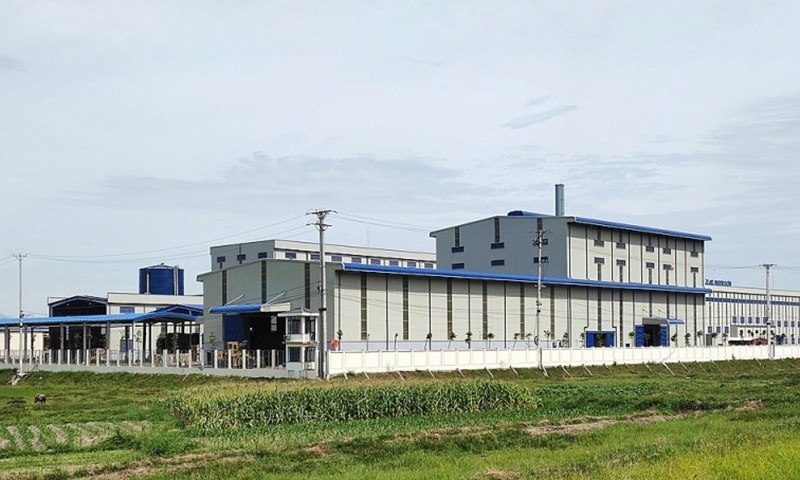 Thanh Hóa: Điều chỉnh dự án nhà máy sản xuất giấy bao bì 2.900 tỷ đồng