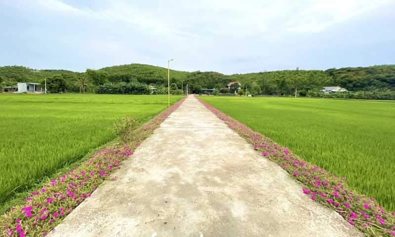 Quảng Bình: Giao chỉ tiêu kế hoạch xây dựng nông thôn mới trong năm 2024 - 2025