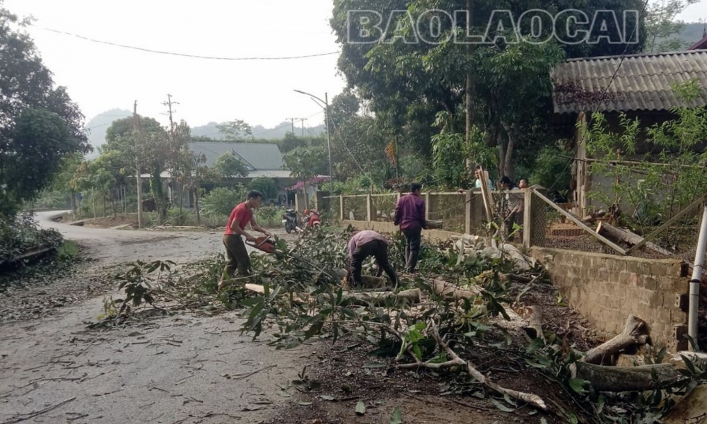 Dông lốc gây thiệt hại lớn về nhà ở và hoa màu tại các tỉnh miền núi phía Bắc