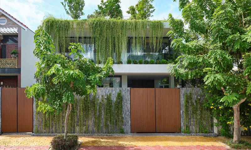 9 mẹo thiết kế nhà phố gần gũi thiên nhiên có nhiều cây xanh