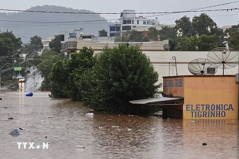 Brazil: Gần 90 người thiệt mạng và mất tích trong thảm họa mưa lớn và lở đất