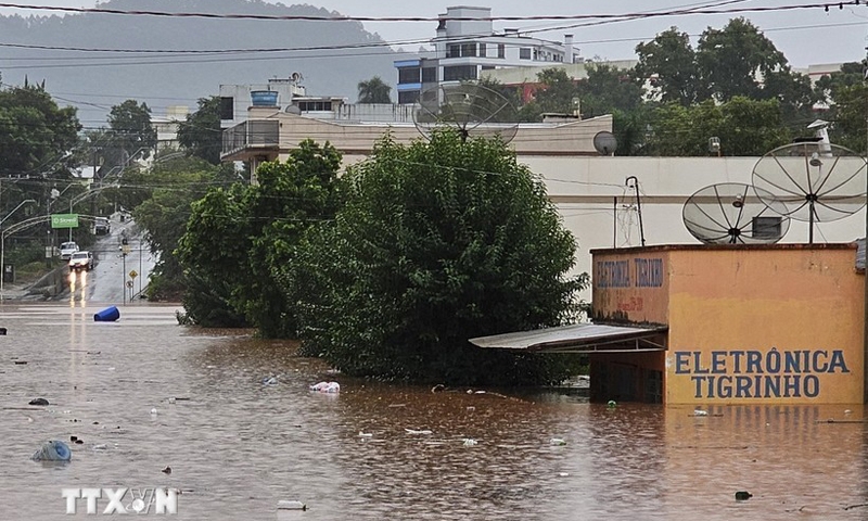 Brazil: Gần 90 người thiệt mạng và mất tích trong thảm họa mưa lớn và lở đất