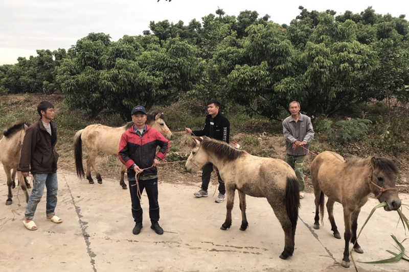 Lục Ngạn (Bắc Giang): Thúc đẩy phát triển kinh tế - xã hội vùng đồng bào dân tộc thiểu số