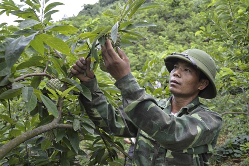 Lục Ngạn (Bắc Giang): Thúc đẩy phát triển kinh tế - xã hội vùng đồng bào dân tộc thiểu số