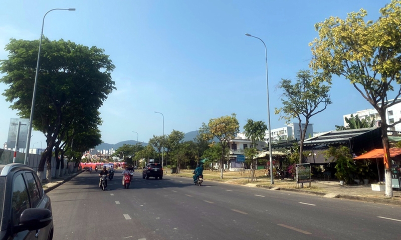 Phát triển cây xanh thành phố Đà Nẵng: Những vấn đề cần quan tâm