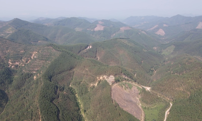 Bắc Giang: Hơn 27ha rừng sản xuất được chuyển mục đích sử dụng để thực hiện 7 dự án