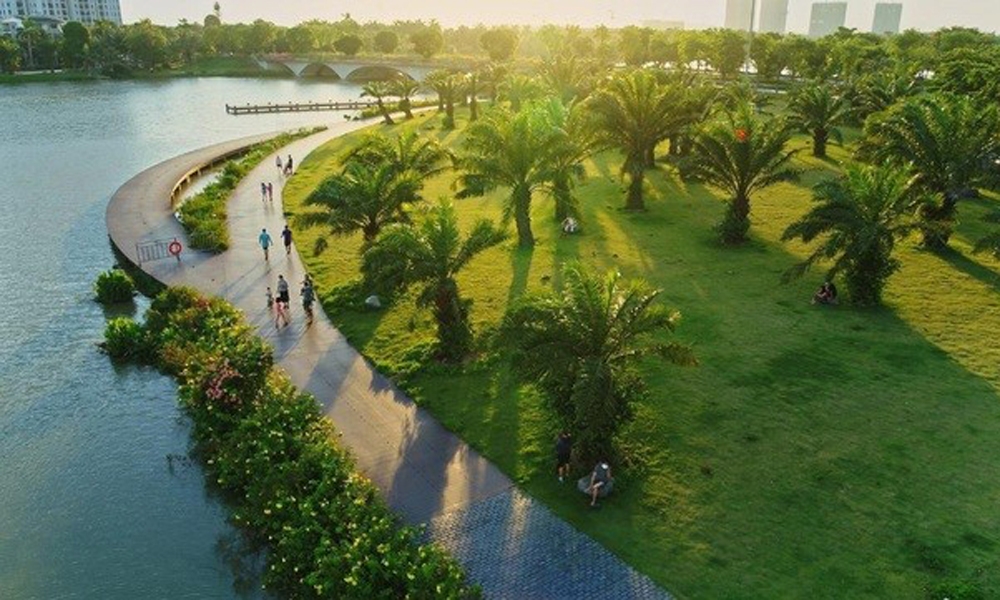 Phát triển cây xanh thành phố Đà Nẵng khi “đất xanh” quý hơn “đất vàng”