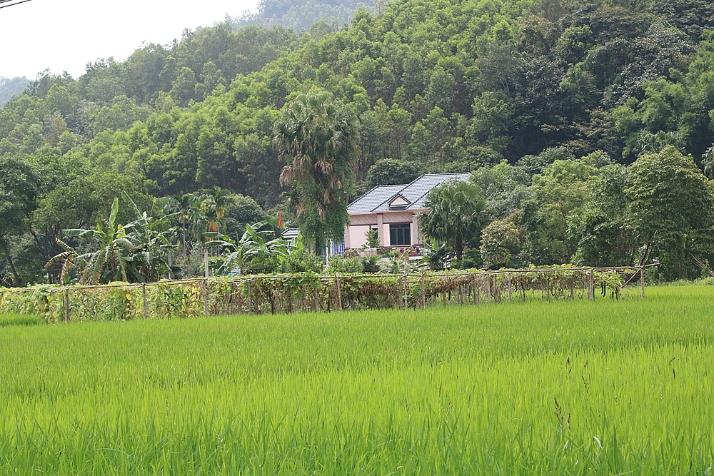 Quảng Ninh: Xã Hòa Bình xây dựng nông thôn theo hướng phát triển đô thị