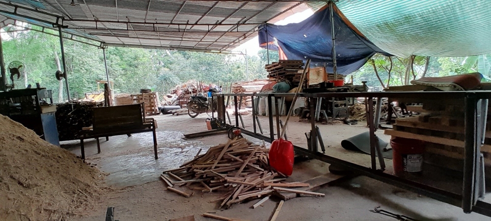 Vĩnh Lộc (Thanh Hóa): Cần thực hiện nghiêm túc việc kiểm tra, xử lý các cơ sở thu mua, chế biến gỗ keo vi phạm