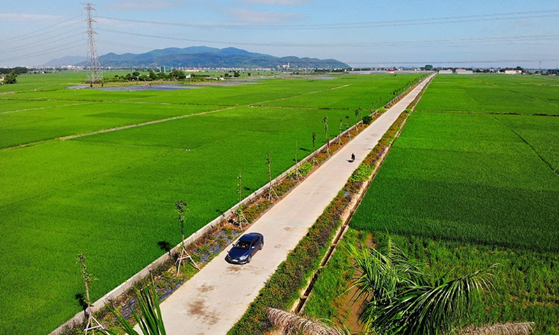 Lạng Giang (Bắc Giang): Chuyển đổi mục đích sử dụng hơn 1.230ha đất nông nghiệp