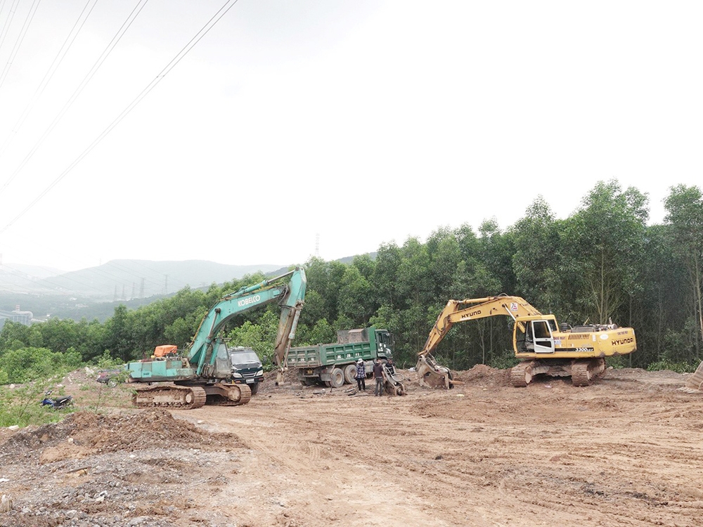 Thanh Hóa: Một doanh nghiệp ngang nhiên tàn phá hơn 2,6ha rừng tự nhiên