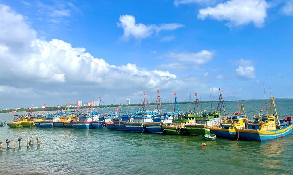 Bình Định sẽ di dời hơn 600 tàu thuyền khỏi thành phố